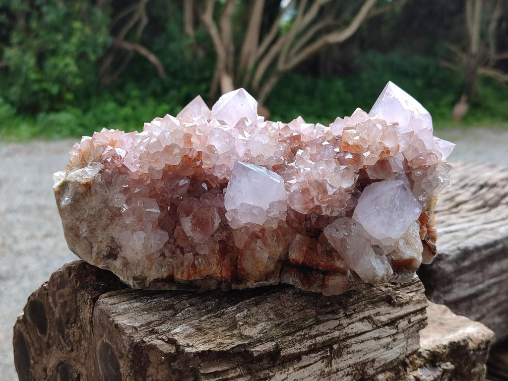 Natural Ametrine Spirit Cluster x 1 From Boekenhouthoek, South Africa