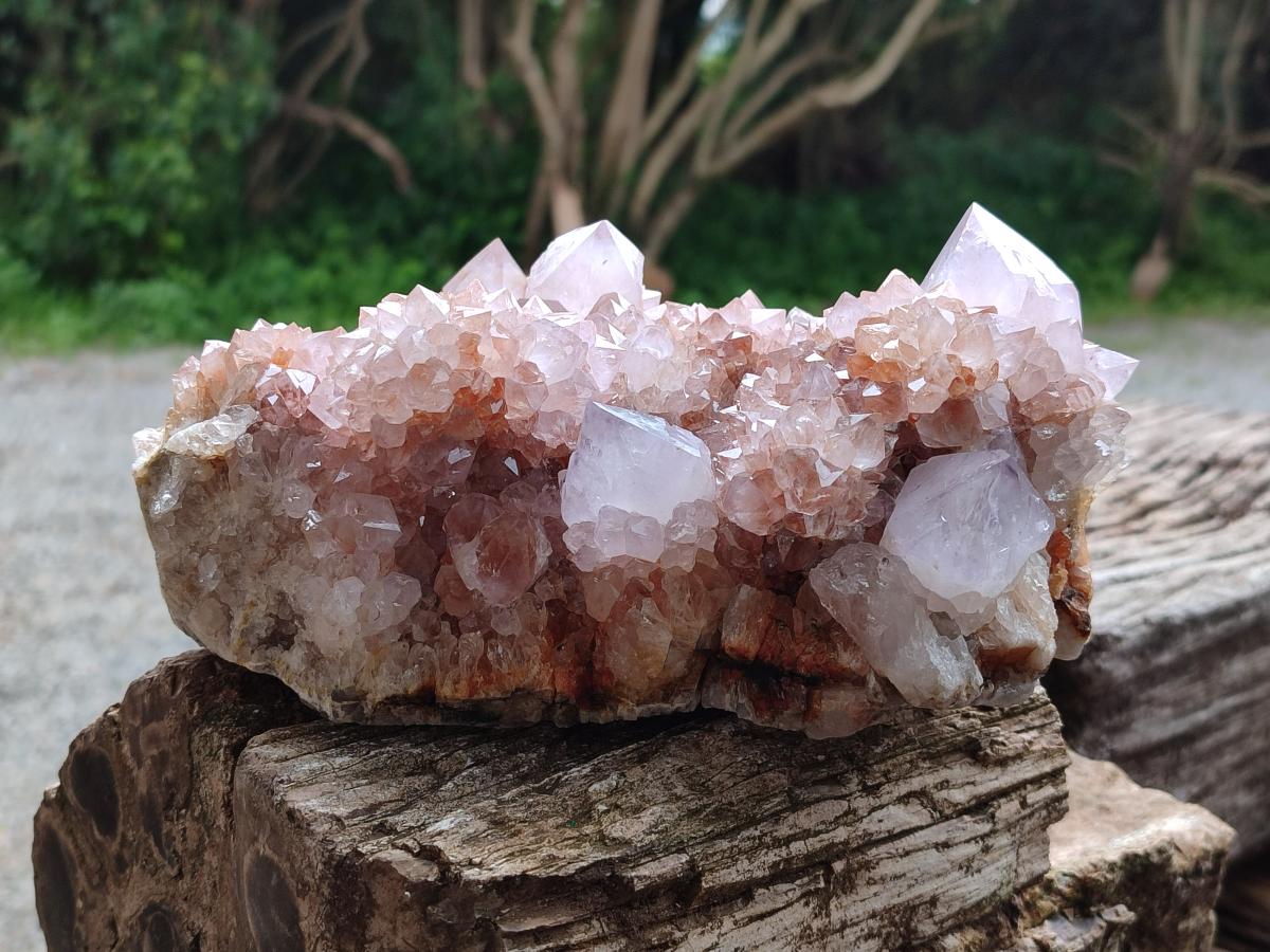 Natural Ametrine Spirit Cluster x 1 From Boekenhouthoek, South Africa