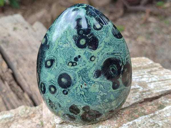 Polished Stromatolite Standing Free Forms x 2 From Katsepy, Madagascar