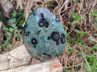Polished Stromatolite Standing Free Forms x 2 From Katsepy, Madagascar