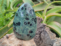 Polished Stromatolite Standing Free Forms x 2 From Katsepy, Madagascar