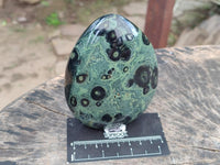 Polished Stromatolite Standing Free Forms x 2 From Katsepy, Madagascar