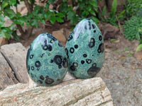 Polished Stromatolite Standing Free Forms x 2 From Katsepy, Madagascar