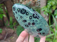 Polished Stromatolite Standing Free Forms x 2 From Katsepy, Madagascar