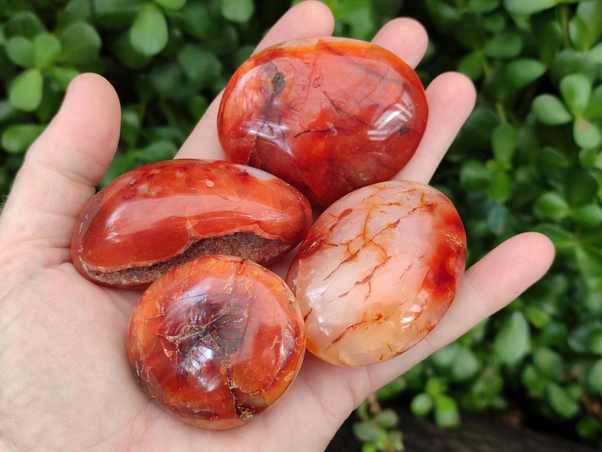 Polished Carnelian Agate Gemstone Galets x 12 From Madagascar