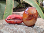 Polished Carnelian Agate Gemstone Galets x 12 From Madagascar