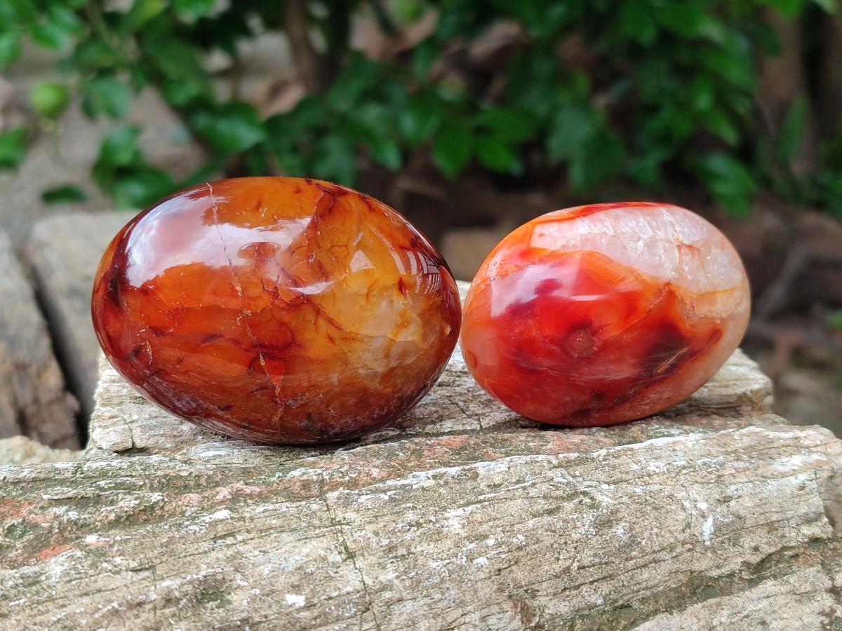 Polished Carnelian Agate Gemstone Galets x 12 From Madagascar