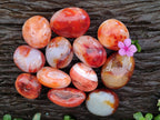 Polished Carnelian Agate Gemstone Galets x 12 From Madagascar
