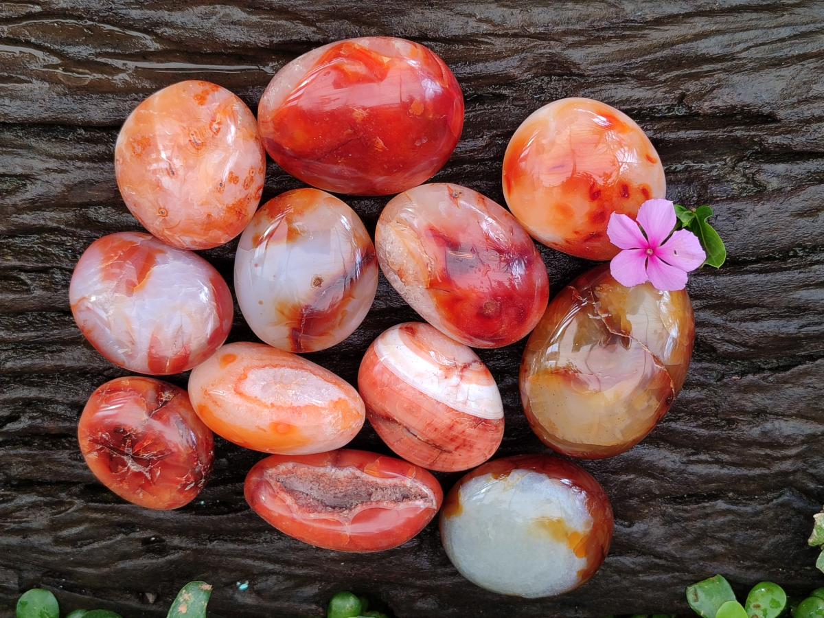 Polished Carnelian Agate Gemstone Galets x 12 From Madagascar