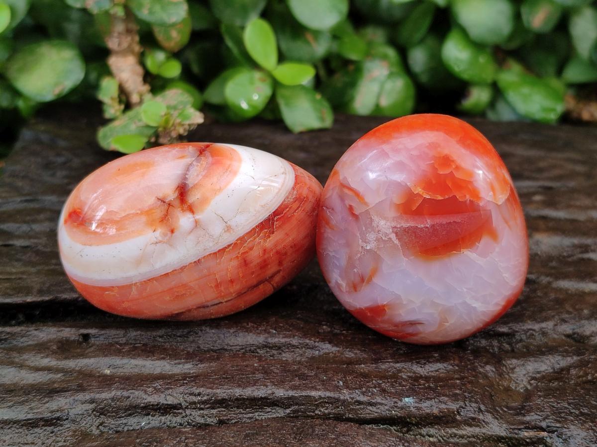 Polished Carnelian Agate Gemstone Galets x 12 From Madagascar