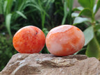 Polished Carnelian Agate Gemstone Galets x 12 From Madagascar