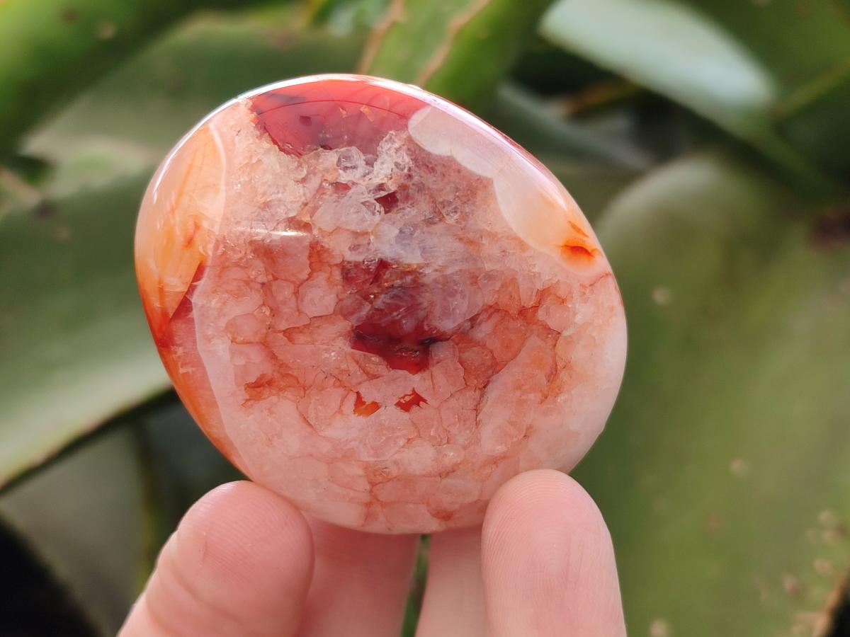 Polished Carnelian Agate Gemstone Galets x 12 From Madagascar