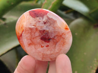 Polished Carnelian Agate Gemstone Galets x 12 From Madagascar