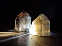 Polished Dark Morion Smokey Quartz Crystals x 6 From Madagascar