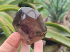 Polished Dark Morion Smokey Quartz Crystals x 6 From Madagascar