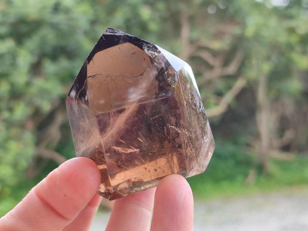 Polished Dark Morion Smokey Quartz Crystals x 6 From Madagascar