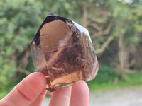 Polished Dark Morion Smokey Quartz Crystals x 6 From Madagascar