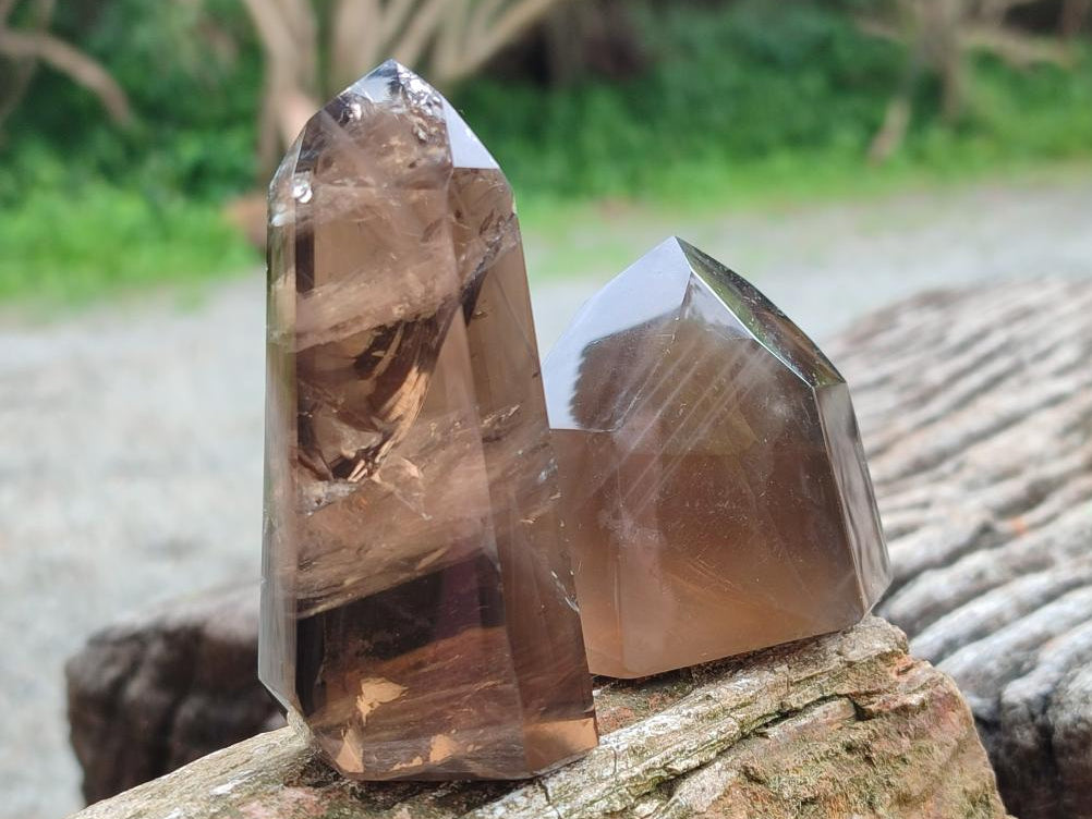 Polished Dark Morion Smokey Quartz Crystals x 6 From Madagascar