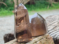 Polished Dark Morion Smokey Quartz Crystals x 6 From Madagascar