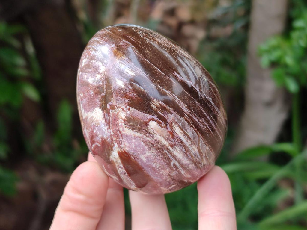 Polished Red Podocarpus Petrified Wood Spheres and Eggs x 4 From Mahajanga, Madagascar