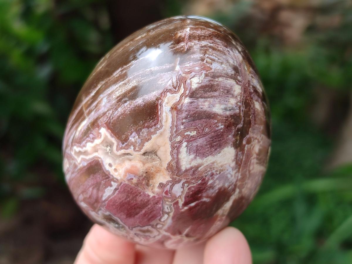 Polished Red Podocarpus Petrified Wood Spheres and Eggs x 4 From Mahajanga, Madagascar