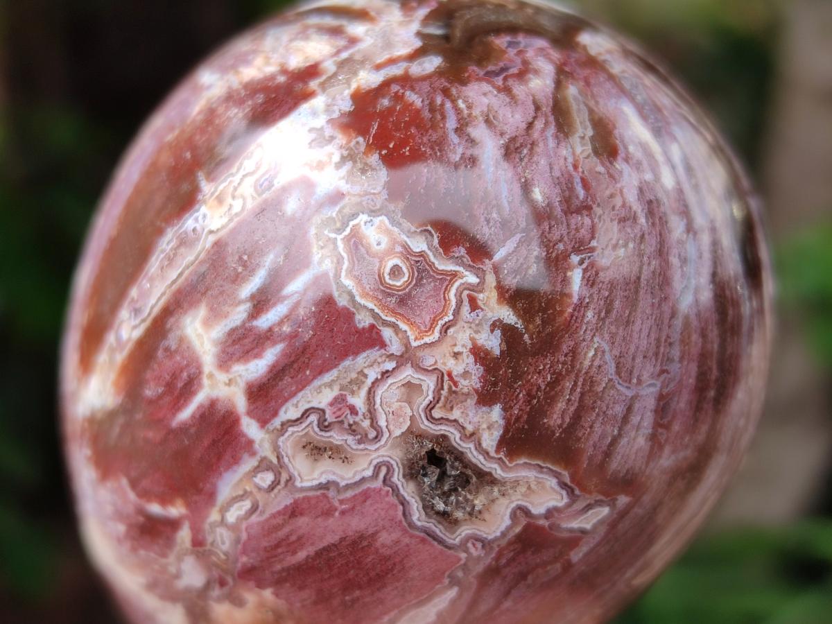 Polished Red Podocarpus Petrified Wood Spheres and Eggs x 4 From Mahajanga, Madagascar