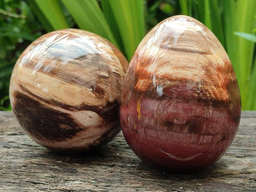 Polished Red Podocarpus Petrified Wood Spheres and Eggs x 4 From Mahajanga, Madagascar