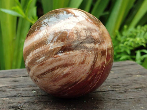 Polished Red Podocarpus Petrified Wood Spheres and Eggs x 4 From Mahajanga, Madagascar - Toprock Gemstones and Minerals 