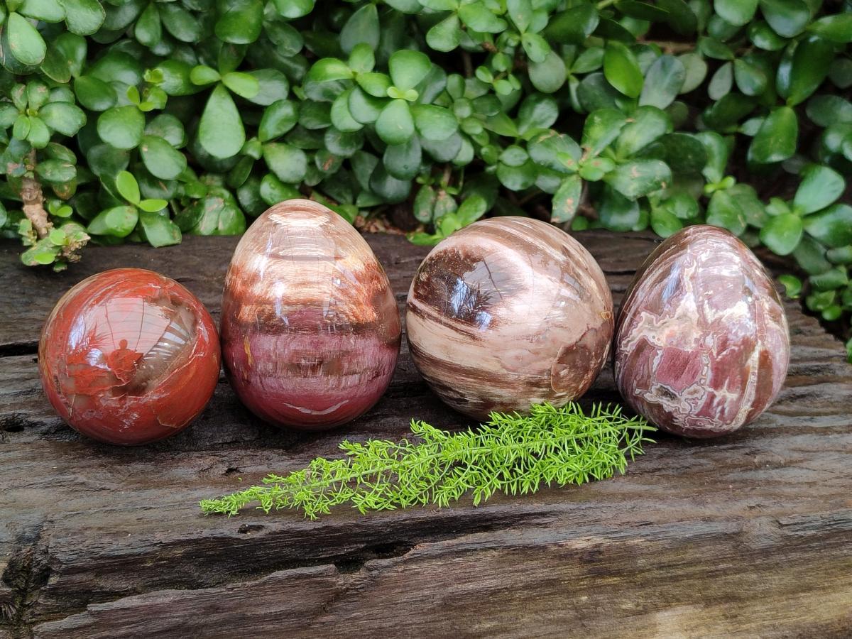 Polished Red Podocarpus Petrified Wood Spheres and Eggs x 4 From Mahajanga, Madagascar