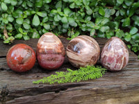 Polished Red Podocarpus Petrified Wood Spheres and Eggs x 4 From Mahajanga, Madagascar