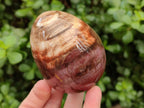Polished Red Podocarpus Petrified Wood Spheres and Eggs x 4 From Mahajanga, Madagascar