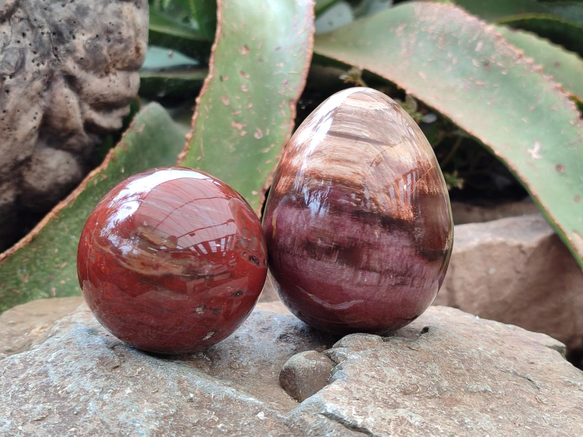 Polished Red Podocarpus Petrified Wood Spheres and Eggs x 4 From Mahajanga, Madagascar