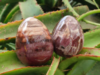 Polished Red Podocarpus Petrified Wood Spheres and Eggs x 4 From Mahajanga, Madagascar
