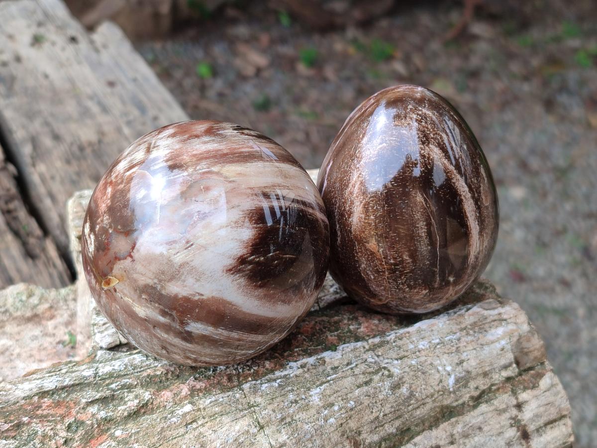 Polished Red Podocarpus Petrified Wood Spheres and Eggs x 4 From Mahajanga, Madagascar