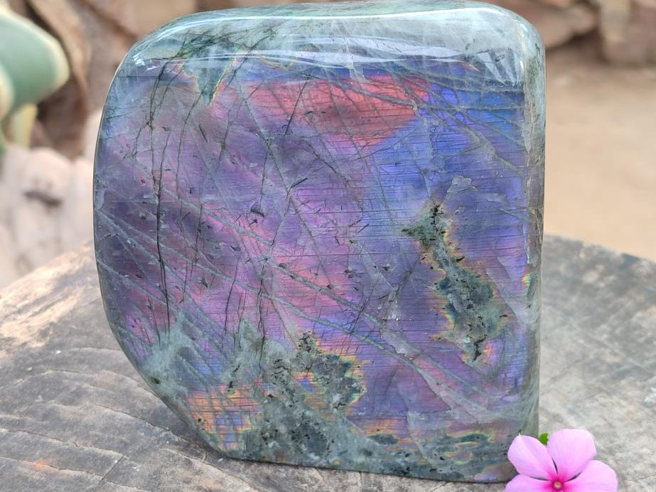 Polished Rare Purple Sunset Flash Labradorite Standing Free Forms x 1 From Madagascar