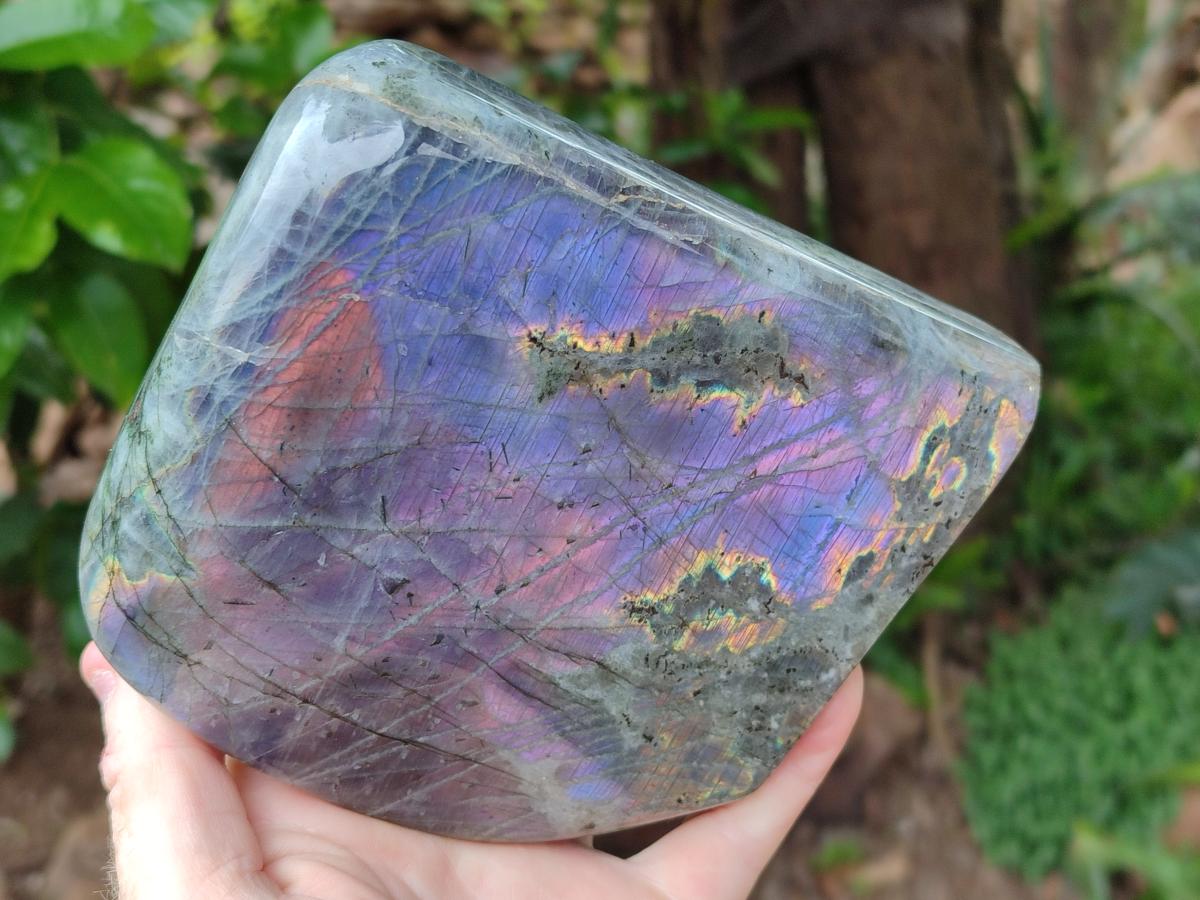Polished Rare Purple Sunset Flash Labradorite Standing Free Forms x 1 From Madagascar