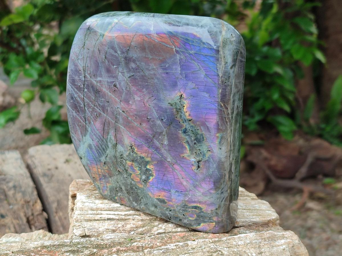 Polished Rare Purple Sunset Flash Labradorite Standing Free Forms x 1 From Madagascar