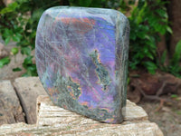 Polished Rare Purple Sunset Flash Labradorite Standing Free Forms x 1 From Madagascar