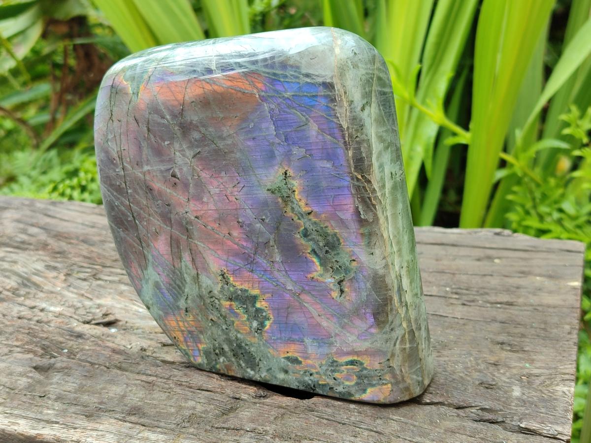 Polished Rare Purple Sunset Flash Labradorite Standing Free Forms x 1 From Madagascar