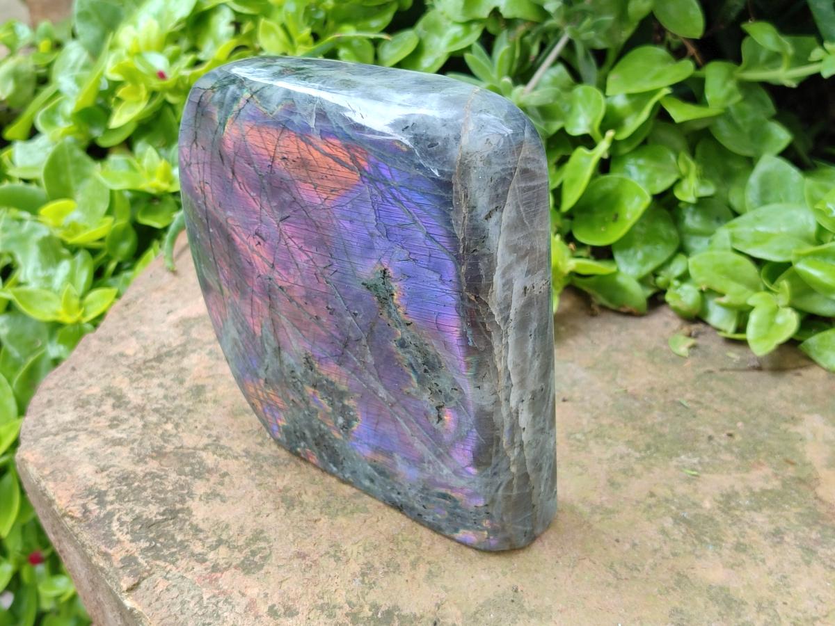 Polished Rare Purple Sunset Flash Labradorite Standing Free Forms x 1 From Madagascar