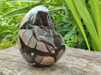 Polished Septerye Sauvage "Dragons Egg" Geode x 1 From Mahajanga, Madagascar