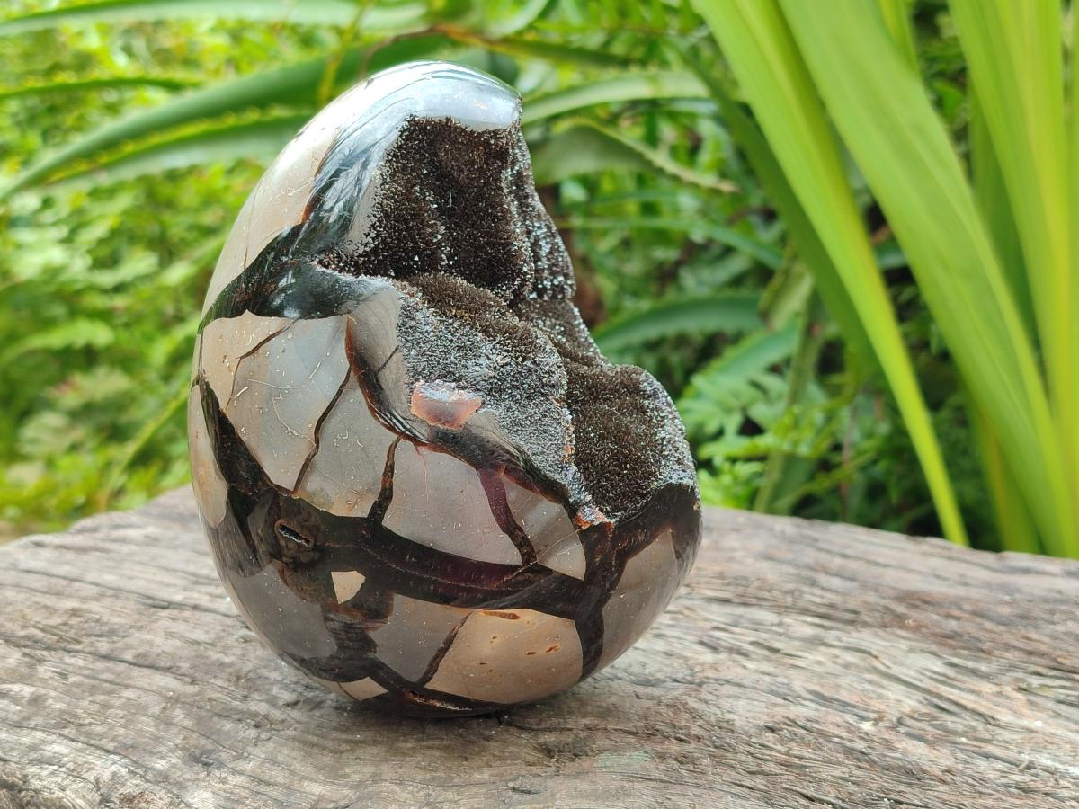 Polished Septerye Sauvage "Dragons Egg" Geode x 1 From Mahajanga, Madagascar