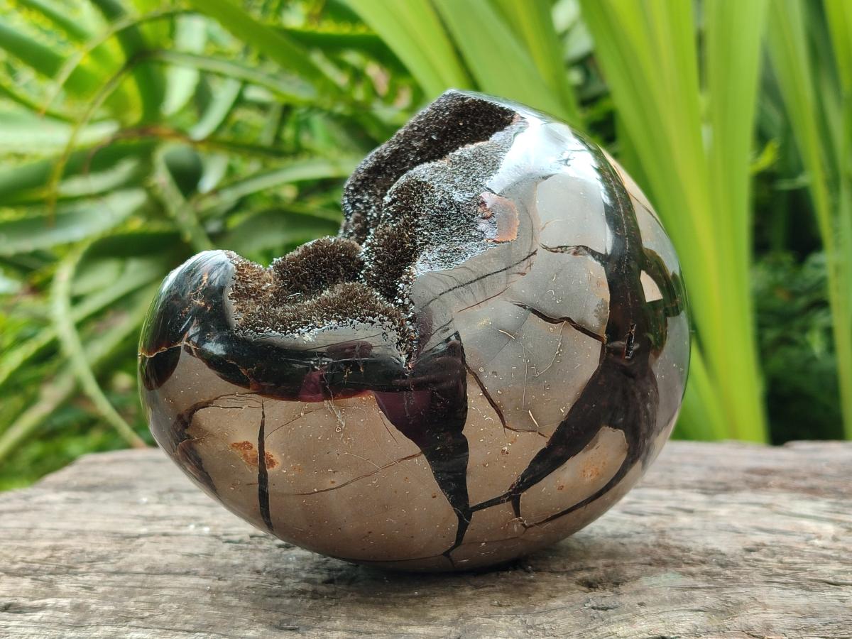 Polished Septerye Sauvage "Dragons Egg" Geode x 1 From Mahajanga, Madagascar