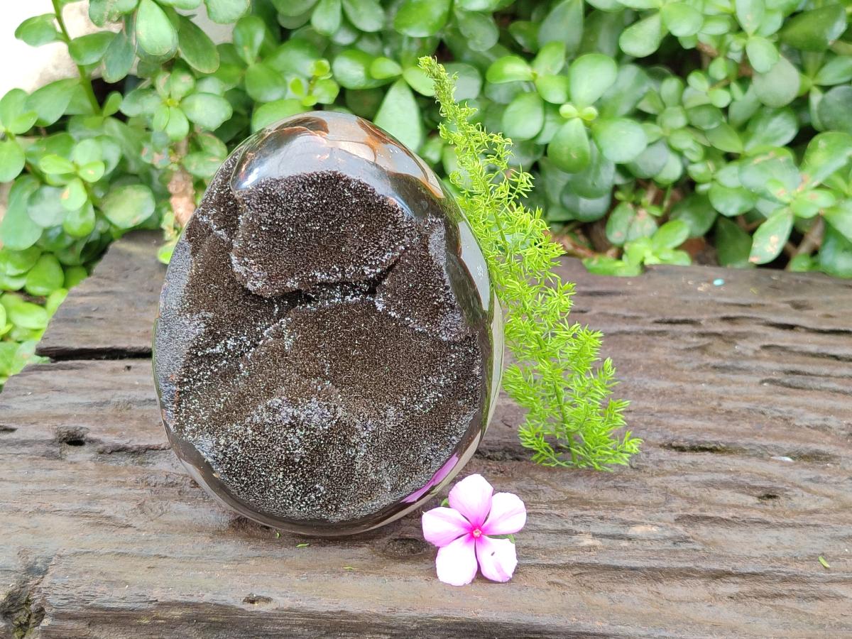 Polished Septerye Sauvage "Dragons Egg" Geode x 1 From Mahajanga, Madagascar