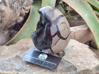 Polished Septerye Sauvage "Dragons Egg" Geode x 1 From Mahajanga, Madagascar
