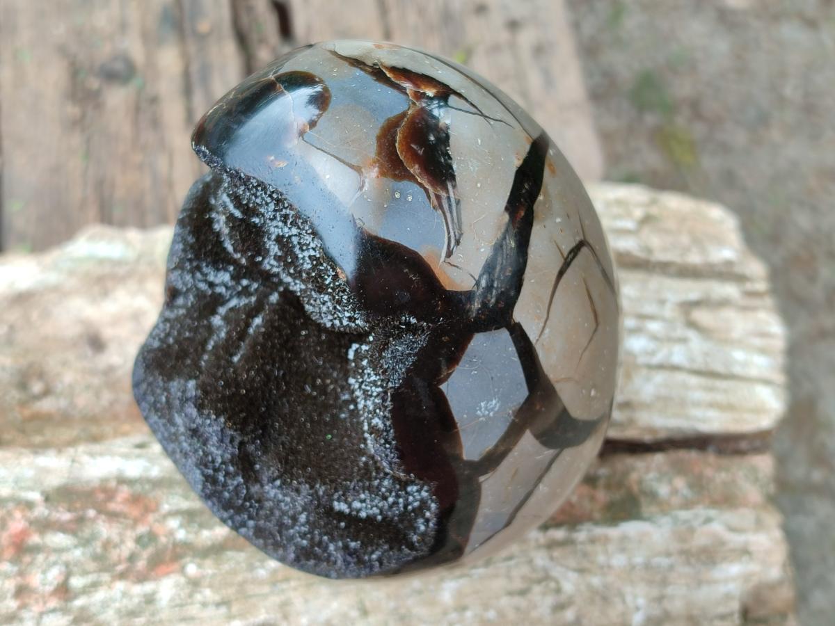 Polished Septerye Sauvage "Dragons Egg" Geode x 1 From Mahajanga, Madagascar