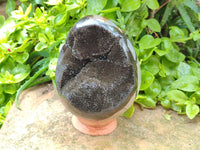 Polished Septerye Sauvage "Dragons Egg" Geode x 1 From Mahajanga, Madagascar