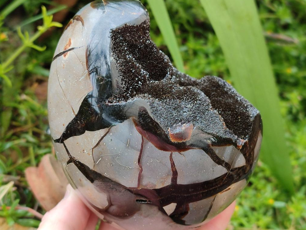 Polished Septerye Sauvage "Dragons Egg" Geode x 1 From Mahajanga, Madagascar