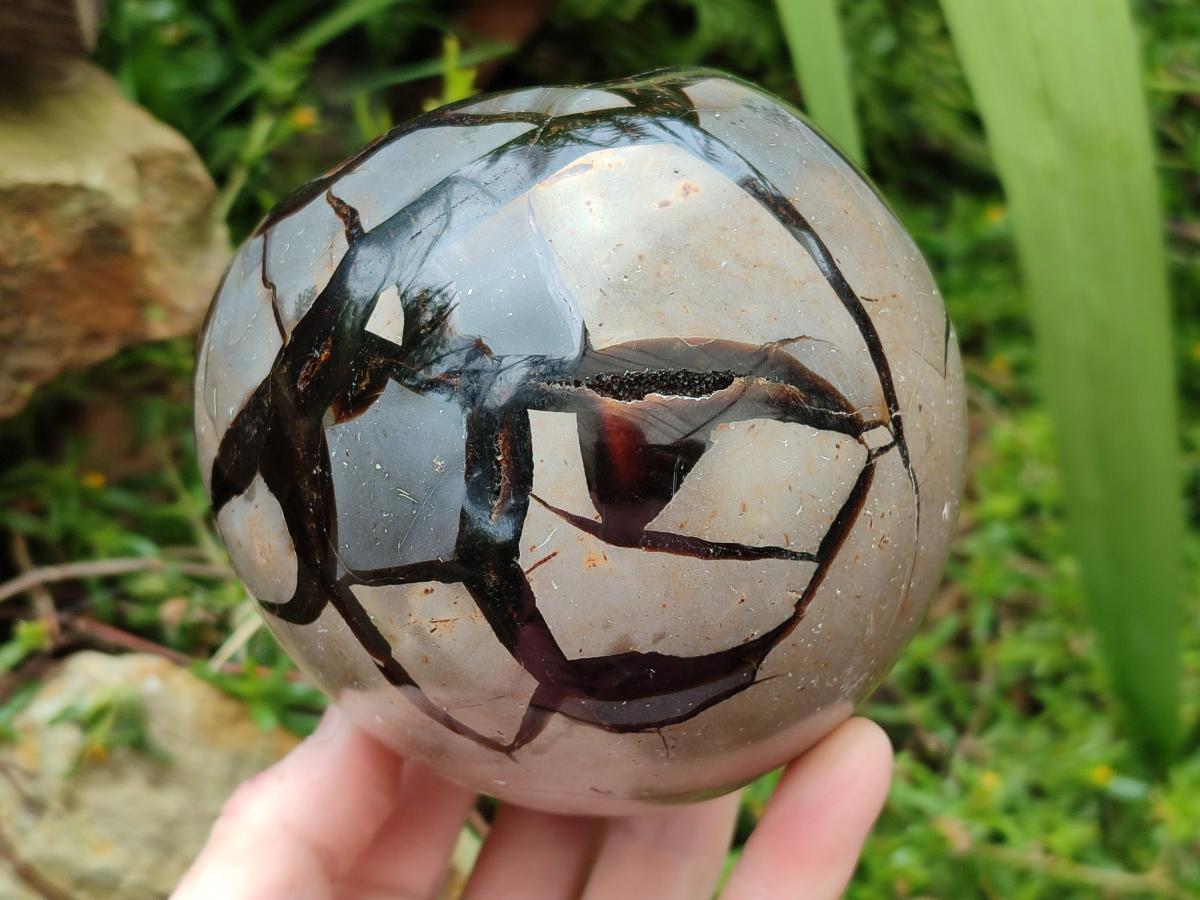 Polished Septerye Sauvage "Dragons Egg" Geode x 1 From Mahajanga, Madagascar