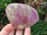 Polished Stichtite Standing Free Forms x 6 From Barberton, South Africa